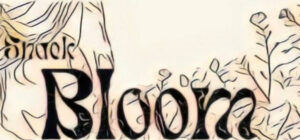 会津若松のスナック｜Bloom(ブルーム)